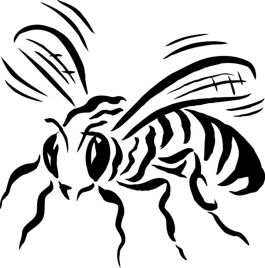clip art bee line drawing - photo #44