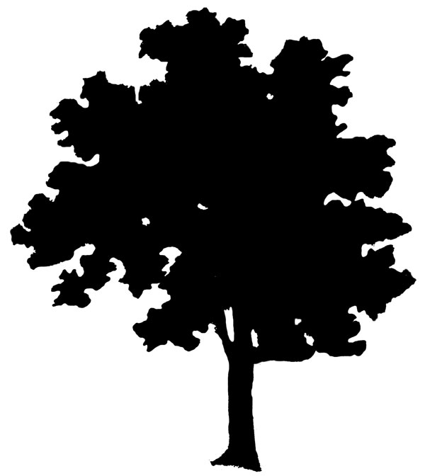 Simple Tree Silhouette - Clipart library