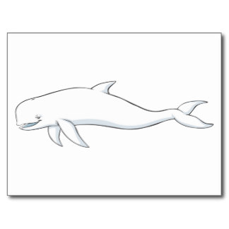 Cute Cartoon Whale Postcards, Cute Cartoon Whale Post Card Templates