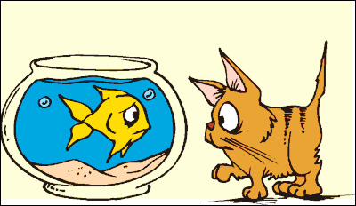 Cat Eyeballing Goldfish Clip Art Download