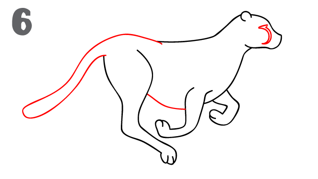 Free Cheetah Drawings Images, Download Free Cheetah Drawings Images png  images, Free ClipArts on Clipart Library