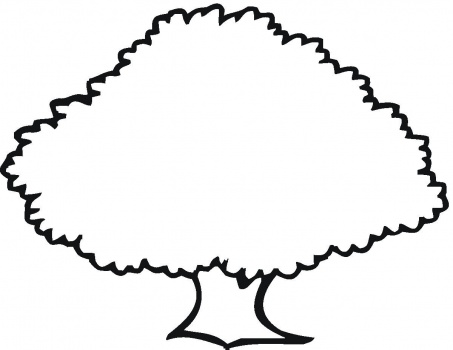 Free Outline Pictures Of Trees Download Free Clip Art Free Clip Art On Clipart Library