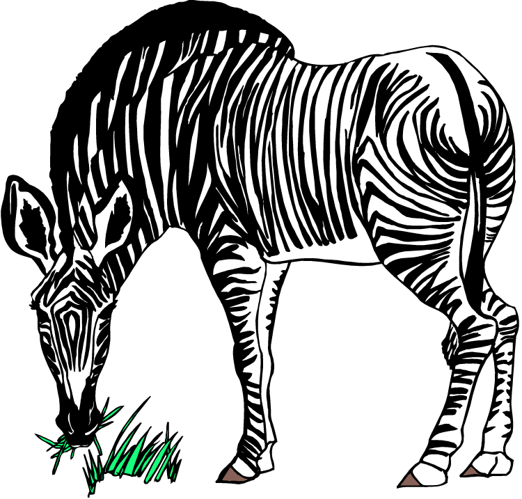zebra clip art free download - photo #18