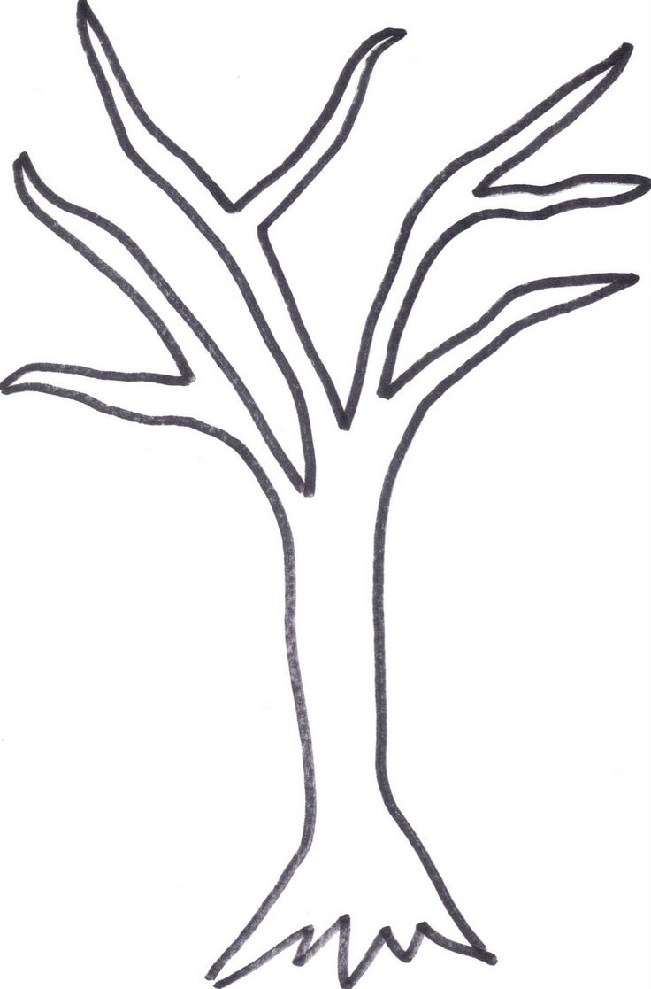 simple tree without leaves clipart