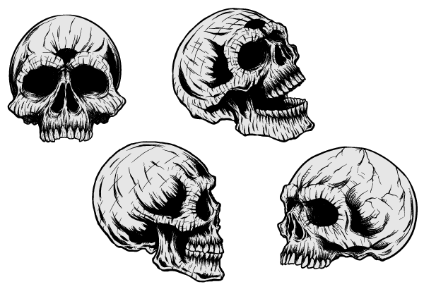 Vector Clip Art Skulls | Free Vector Graphics Download | Free 