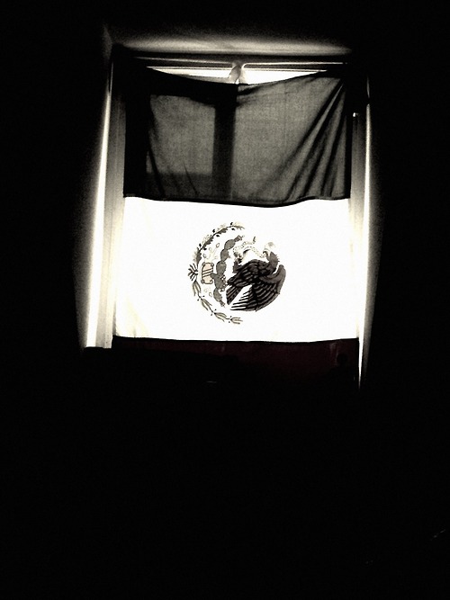 Black and White Window flag mexico bandera viva mexico theres no 