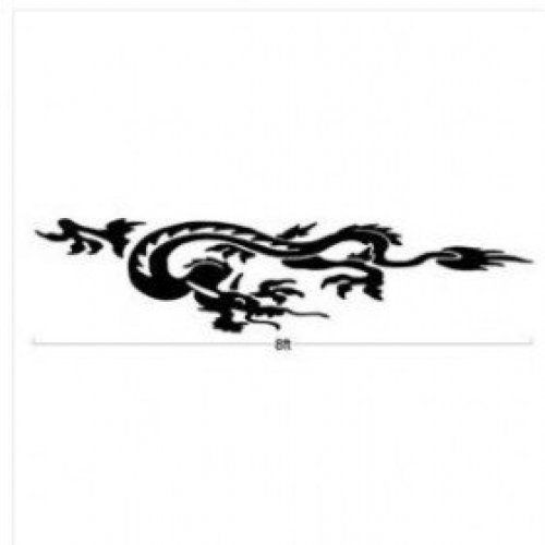 Dragon 2 Side Decal Graphics For Any Car Or Truck Vinyl Stickers 