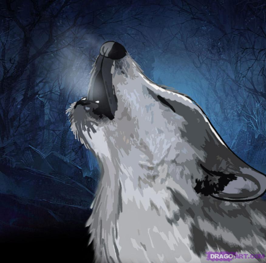 How to Draw a Howling Wolf, Step by Step, forest animals, Animals 