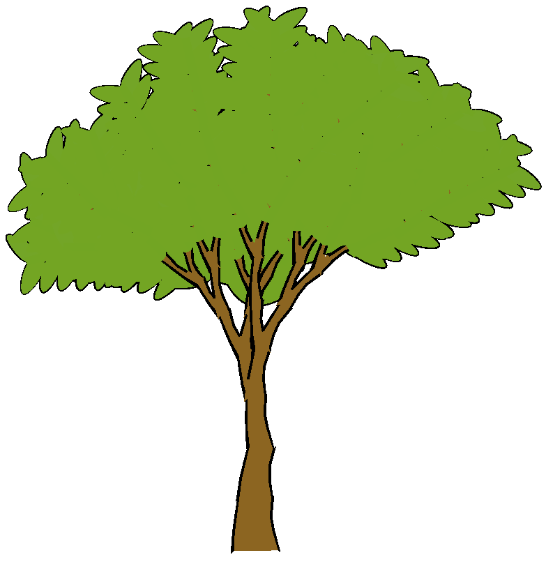 Tree Leaf Png Images  Pictures - Becuo