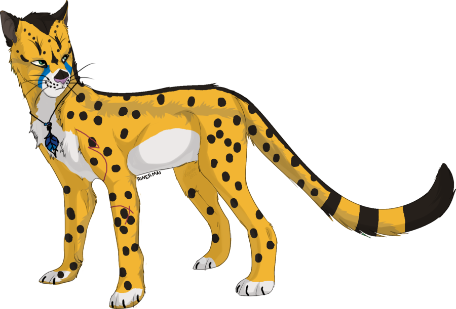 Custom Cheetah by DracKeagan on Clipart library