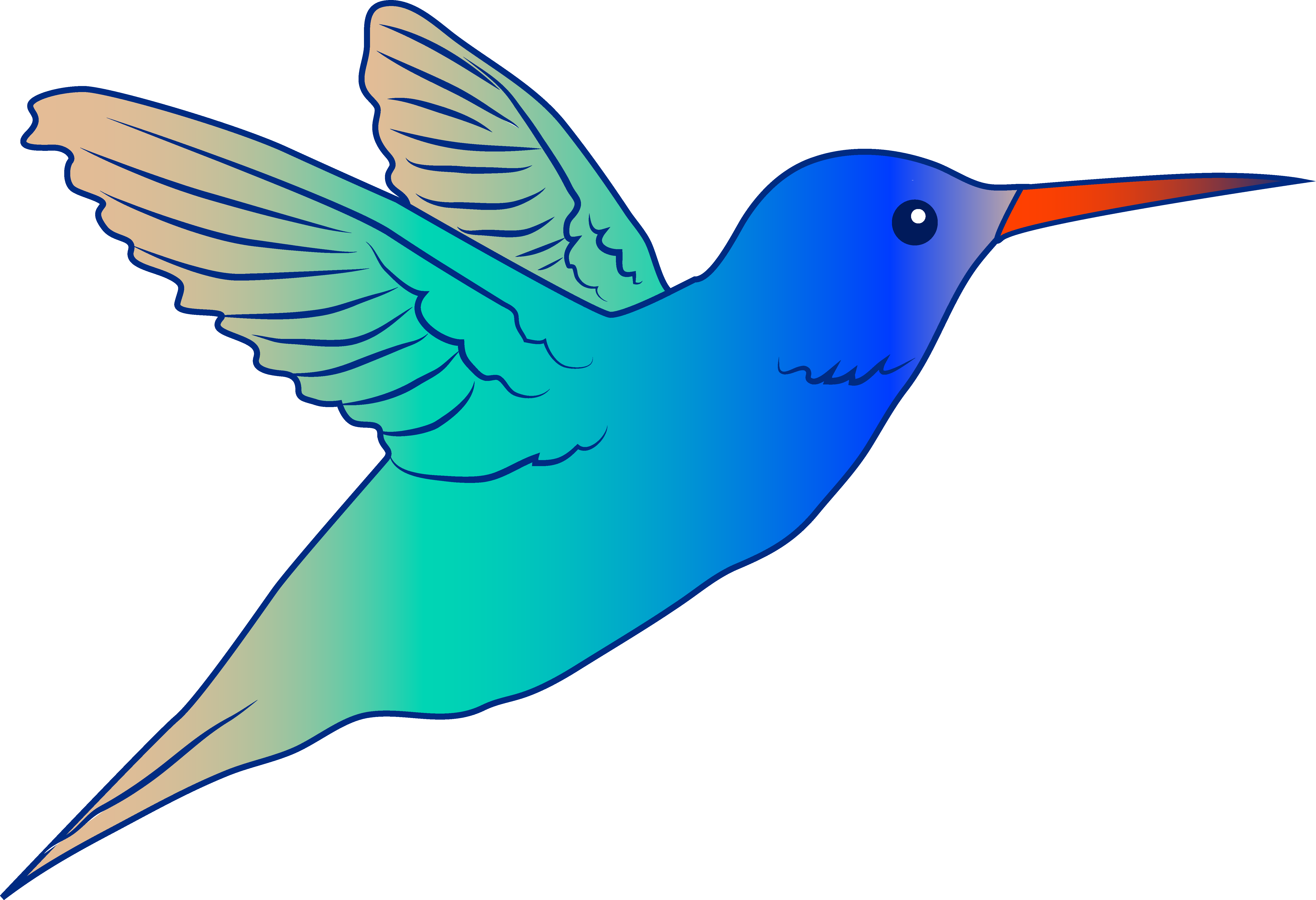 Cute Hummingbird Illustration - Free Clip Art