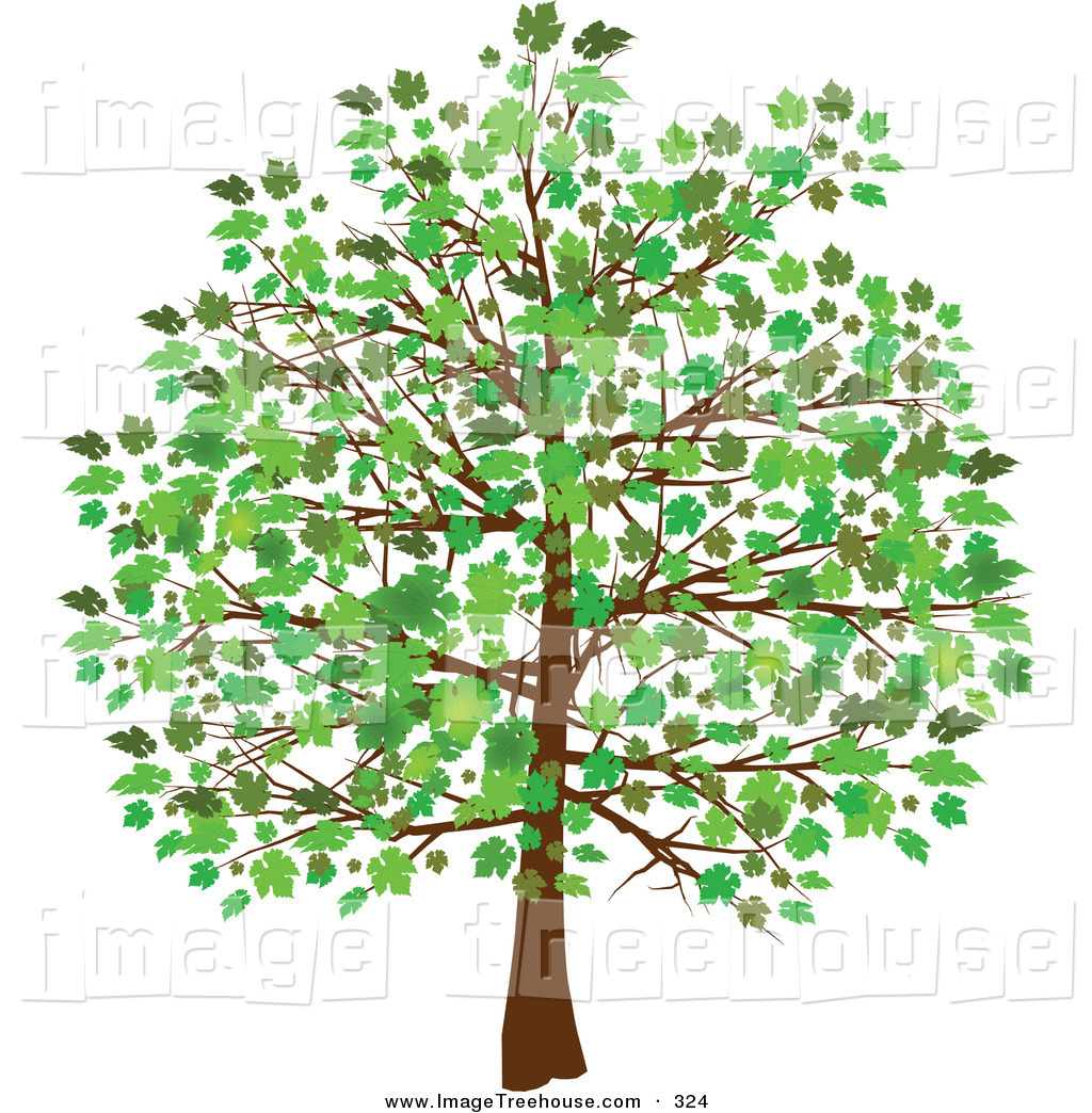 Free Tree Clip Art Downloads Clipart Of A Grown Tree With Green 