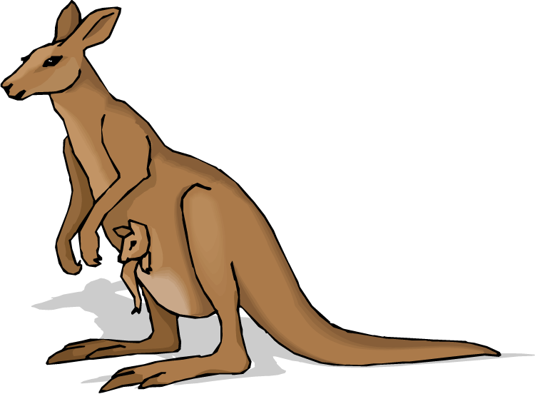 Free Kangaroo Clipart