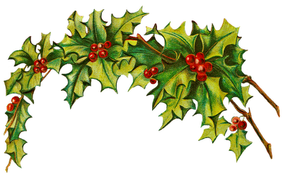 Christmas Holly Border Clip Art - Clipart library