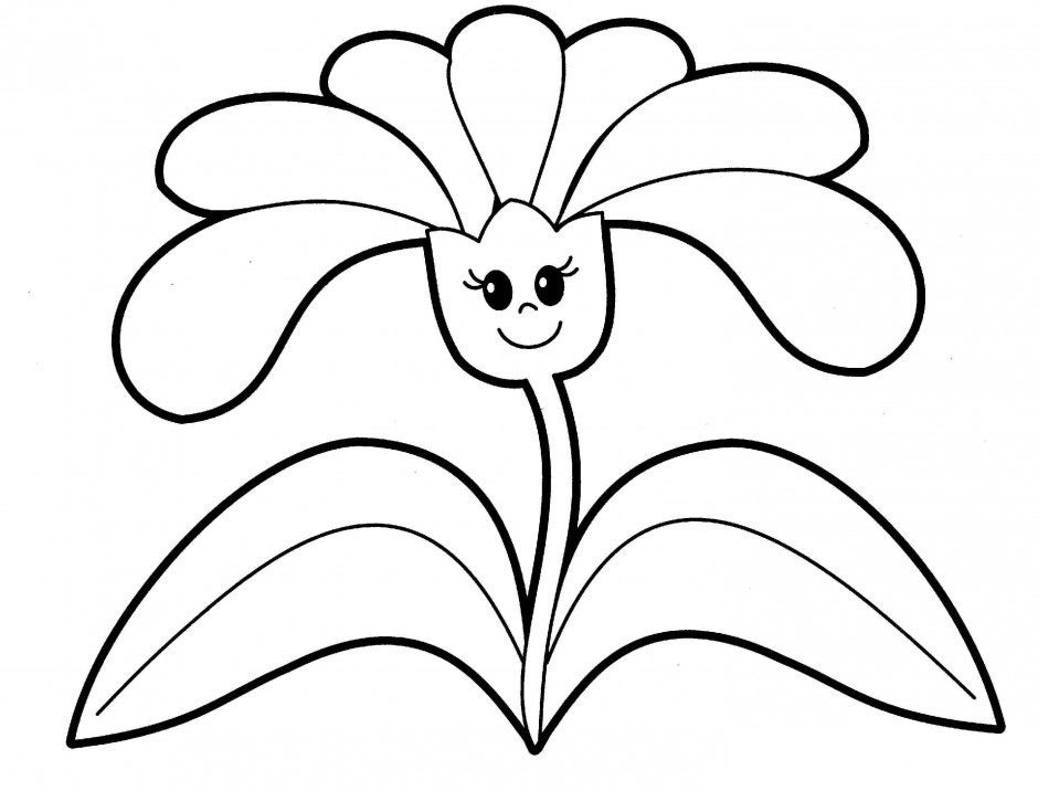 Compass Plant Coloring Page 244694 Plant Coloring Pages