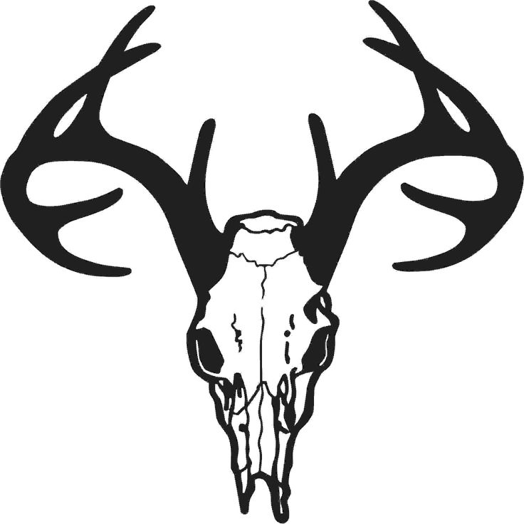 deer silhouette | Deer Skull Silhouette | Art I love | Clipart library