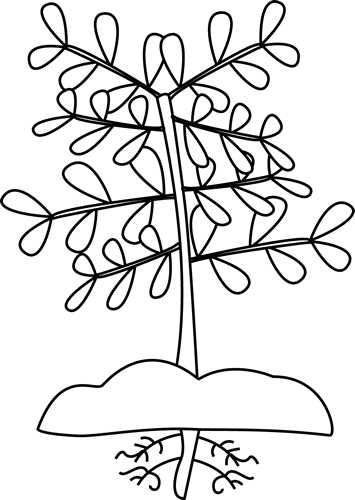 Plant Clipart Black And White | Clipart library - Free Clipart Images