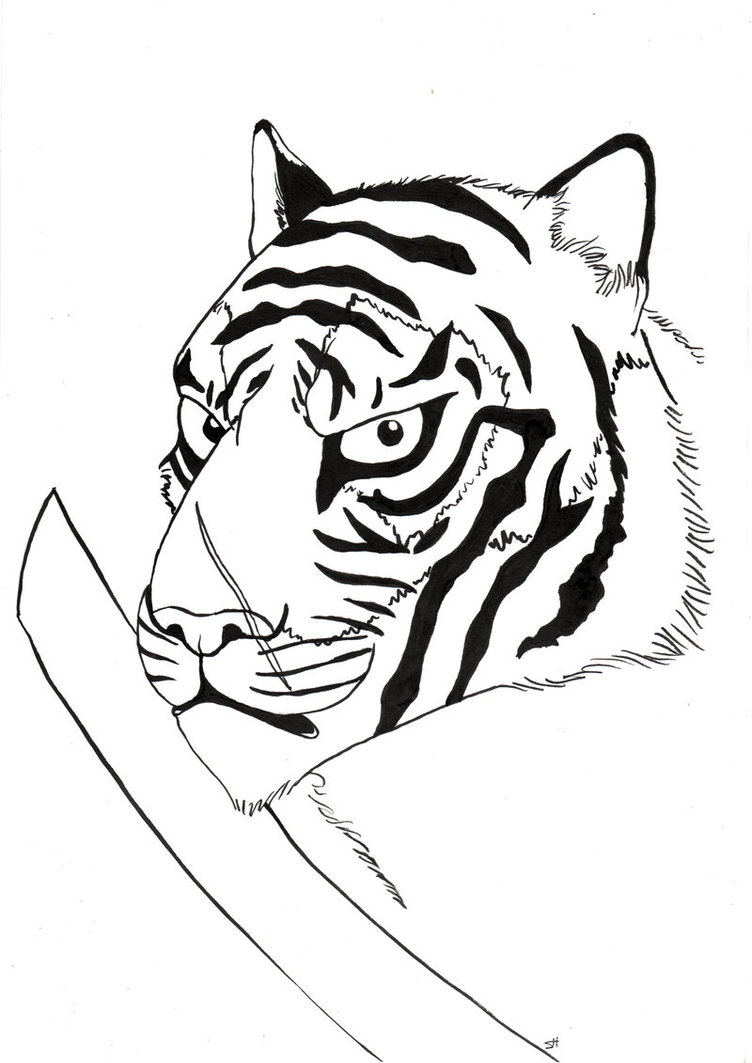 clip art eye of the tiger - photo #35