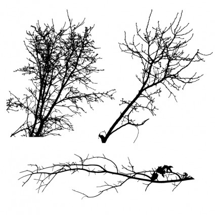 Willow tree silhouettes Free vector for free download (about 2 files).