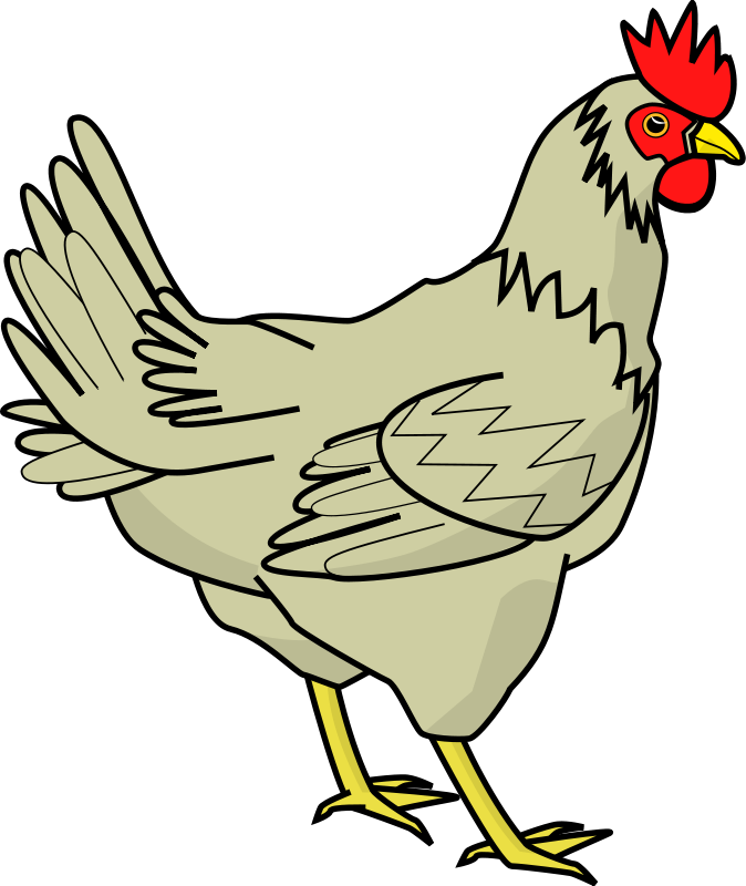 Free to Use  Public Domain Chicken Clip Art