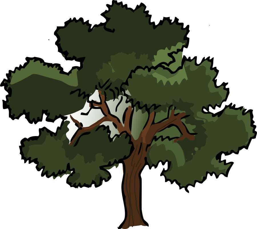 Oak Tree Vector Free Download