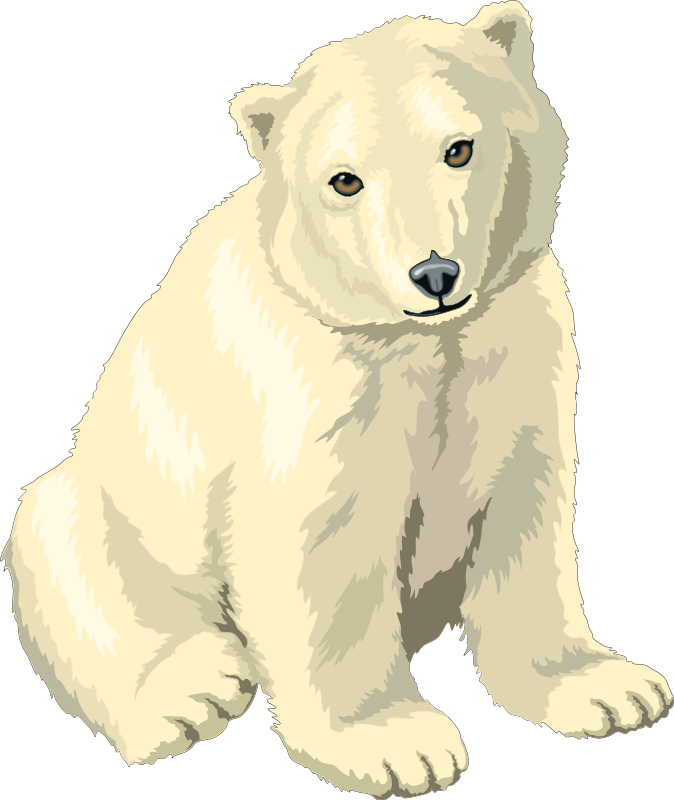 Polar Bear Free Vector 