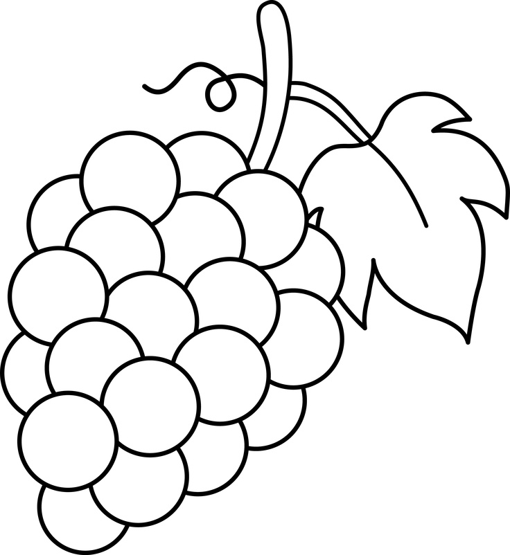 Line Art of a Bunch of Grapes | Grape Art | Clipart library