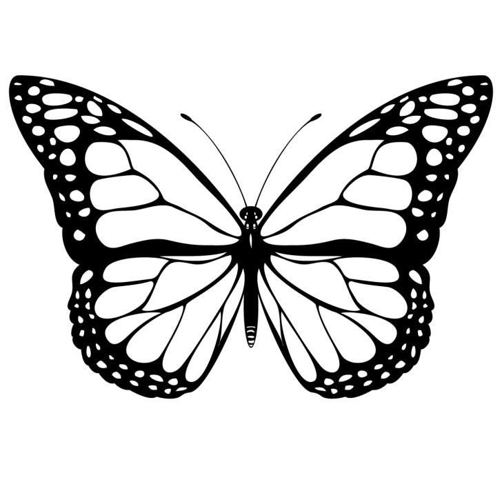 Monarch Butterfly Clip Art Free : 10 Monarch Butterfly Clip Art 