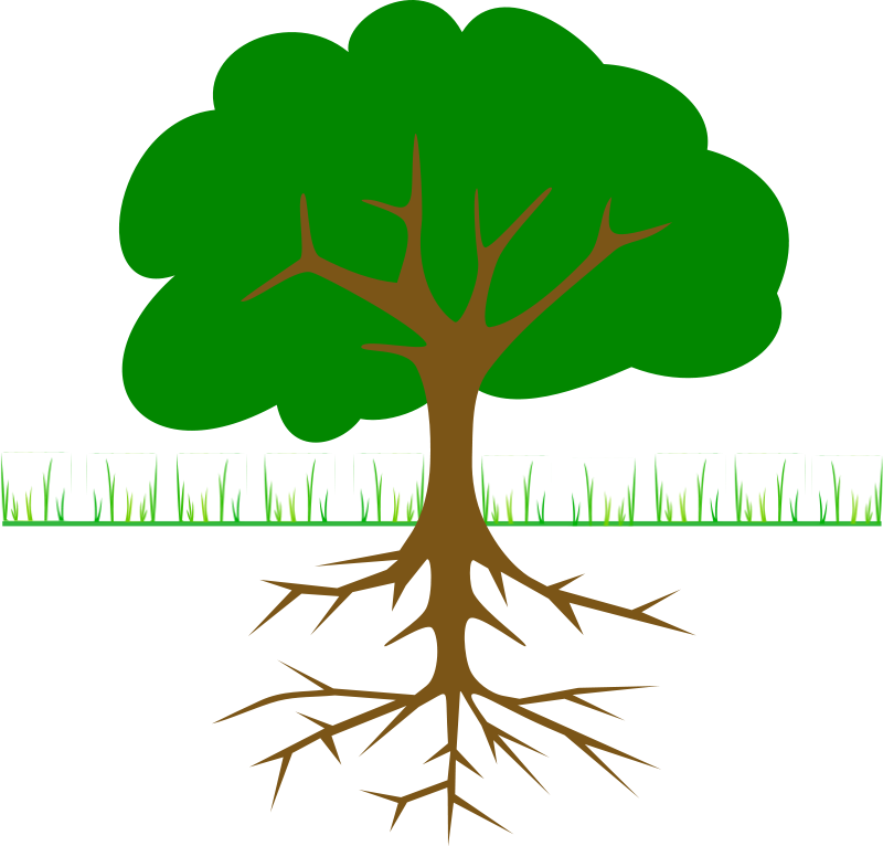Tree Branch Clip Art Download