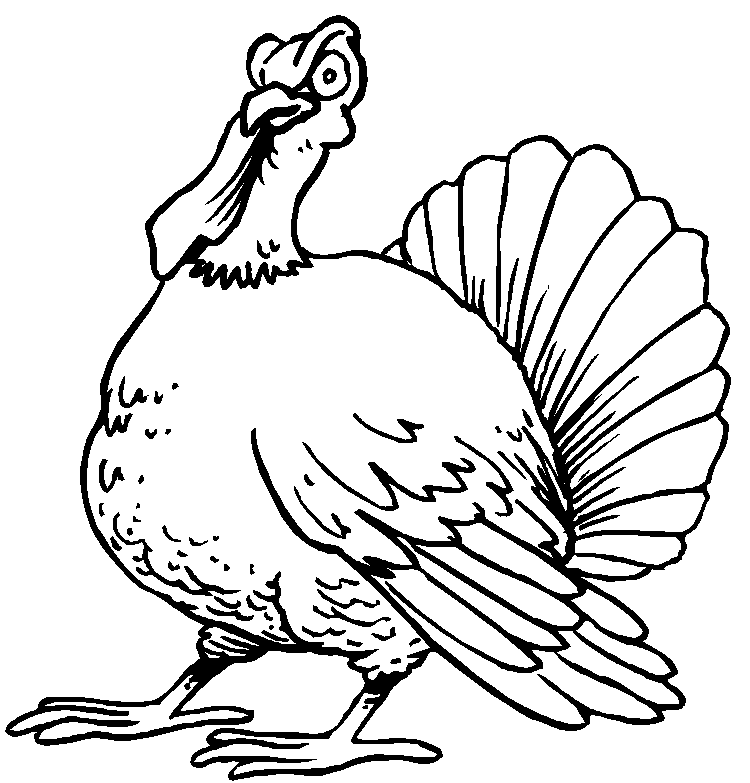 Free Turkey Line Art, Download Free Turkey Line Art png images, Free