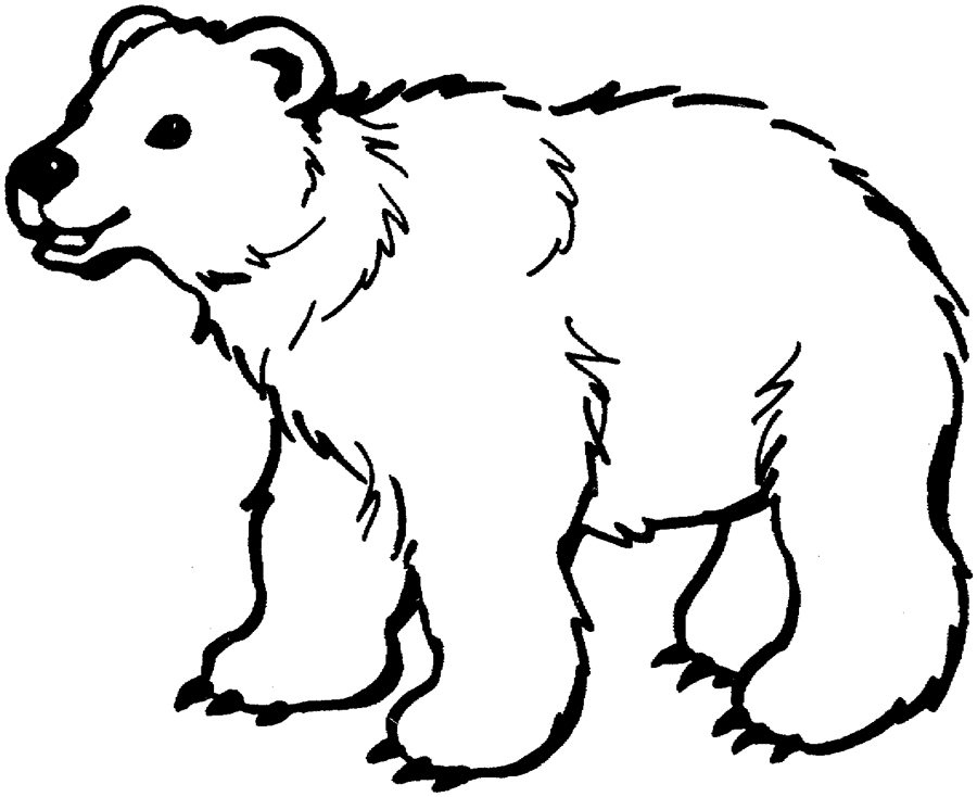 Out Line Of A Bear To Colour
