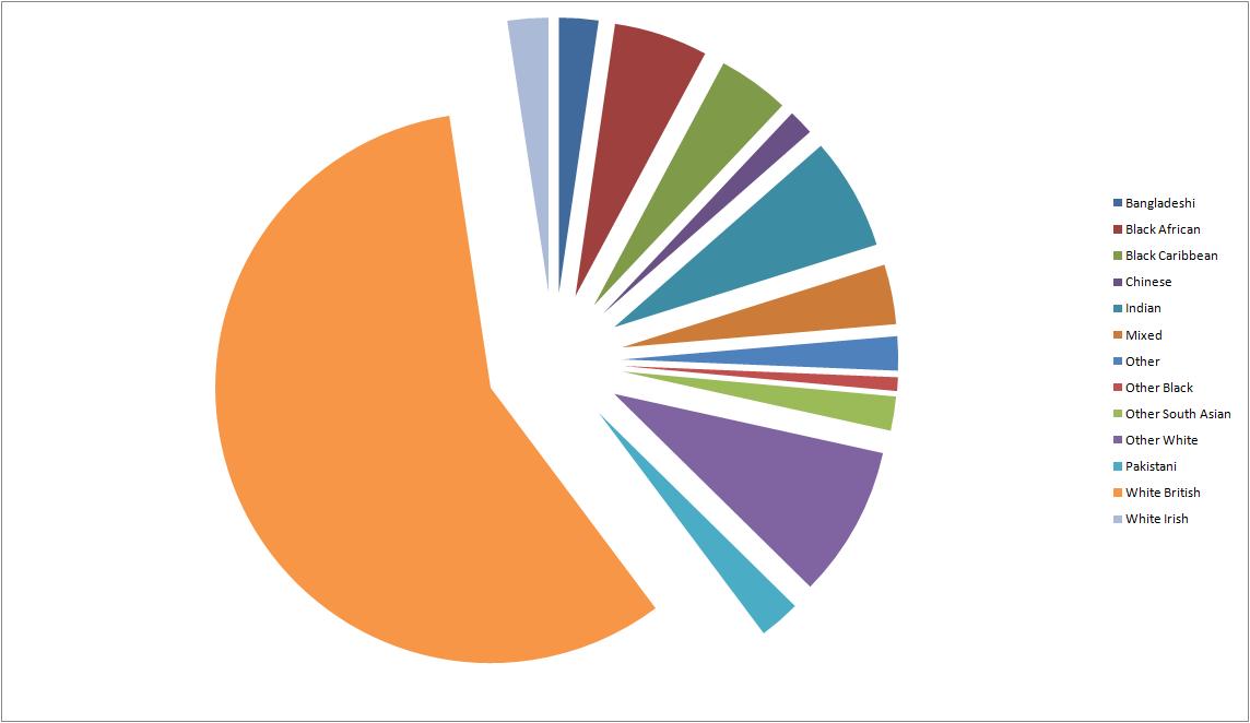 Ethnic Groups In Afghanistan Pie Chart