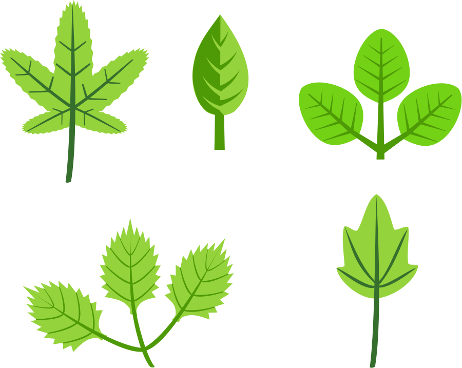 Three leaves clover Clipart, vector clip art online, royalty free 