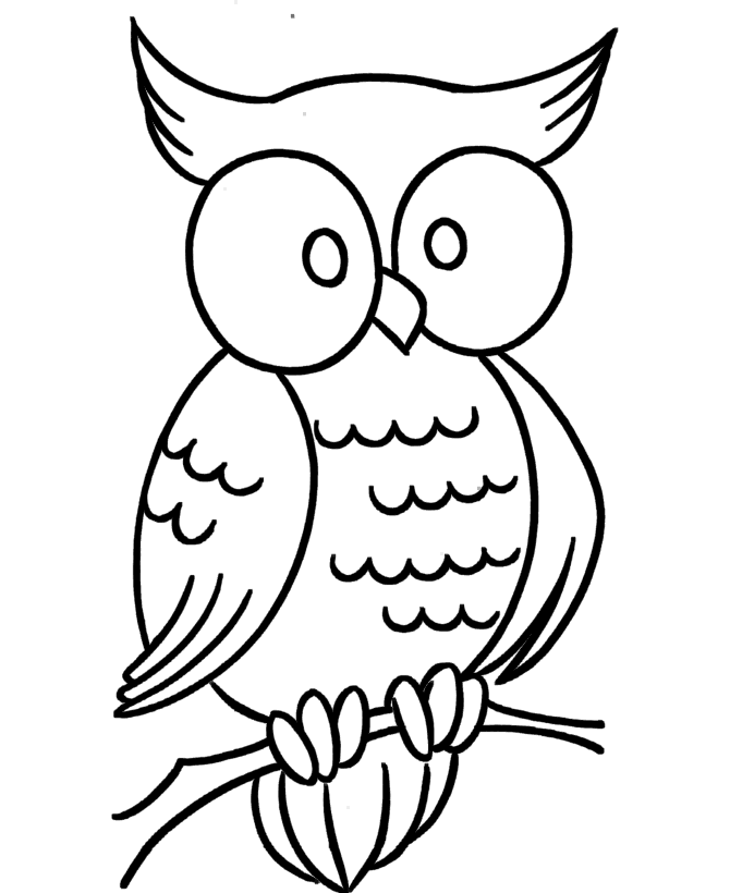 Creating Custom Cute Cartoon Owl Coloring Pages | Creative 