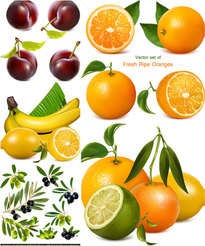 Fruits | Vector Graphics Blog