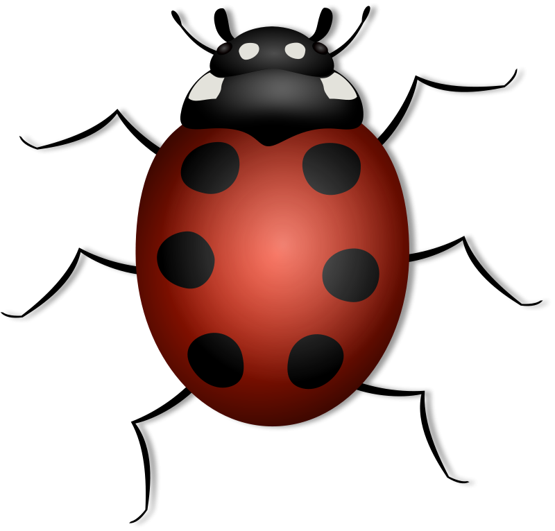 ladybug flying clipart - photo #13