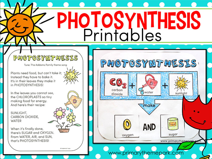 Free Photosynthesis For Kids, Download Free Photosynthesis For Kids png