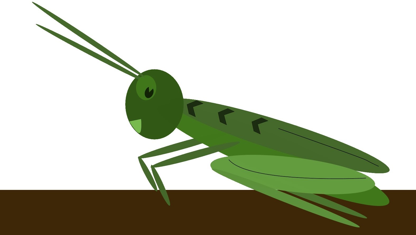 cricket insect clipart free - photo #43