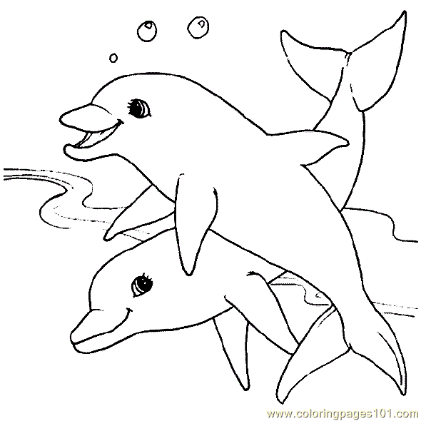 Dolphins Coloring Pages For 12 Year Olds Clip Art Library