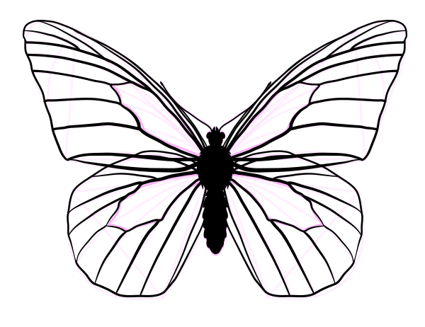 Featured image of post Butterfly Line Drawing Easy - Click here to save the tutorial to pinterest!