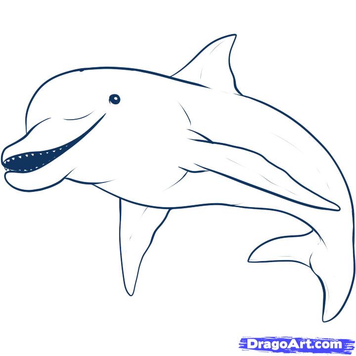 How to Draw a Dolphin, Step by Step, Sea animals, Animals, FREE 