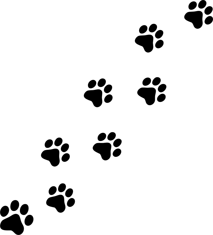 Free CAT PAW PRINTS, CAT PAW PRINTS png images, ClipArts on Clipart Library