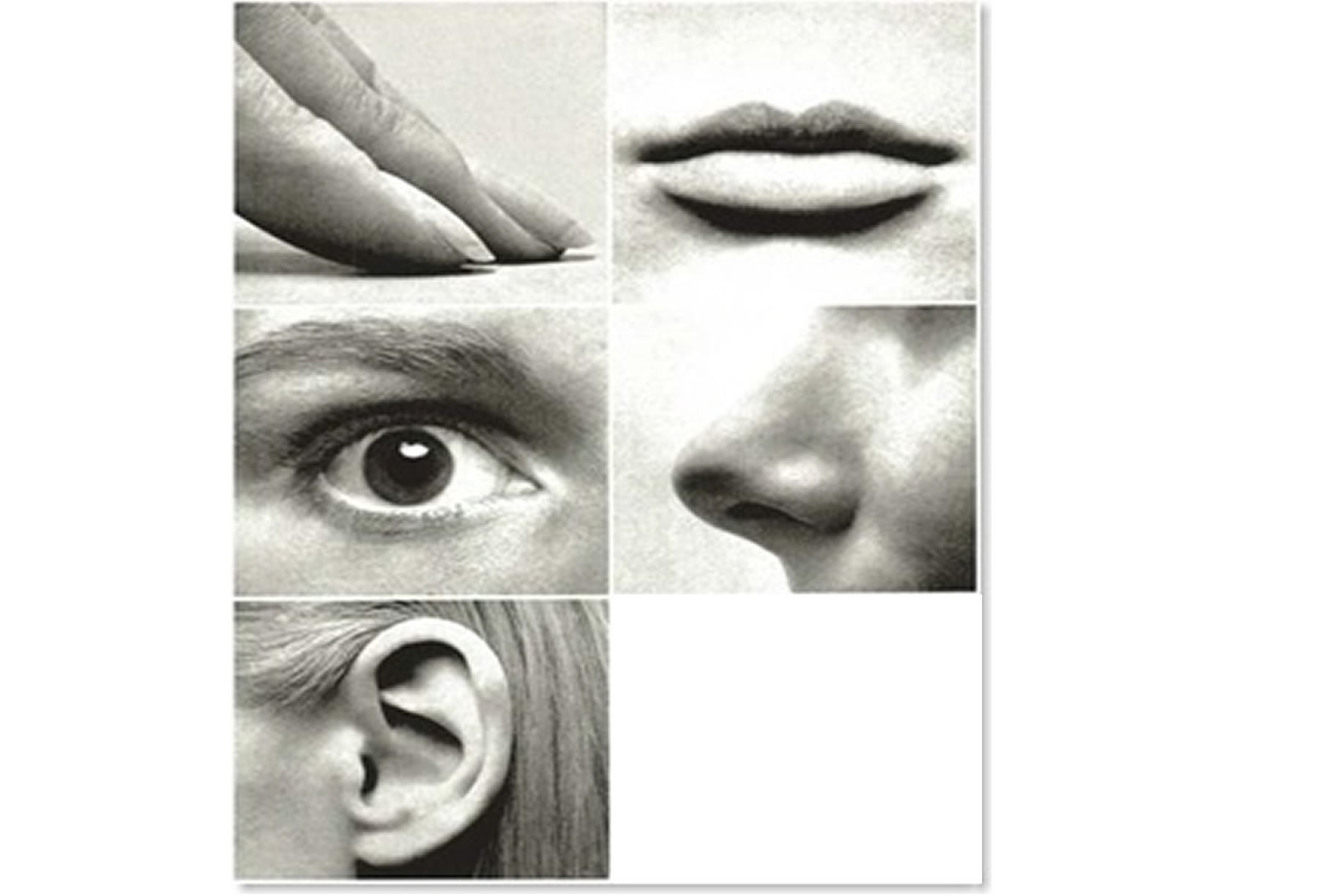 All 5 senses are involved in hearing sound vibrates the entire 