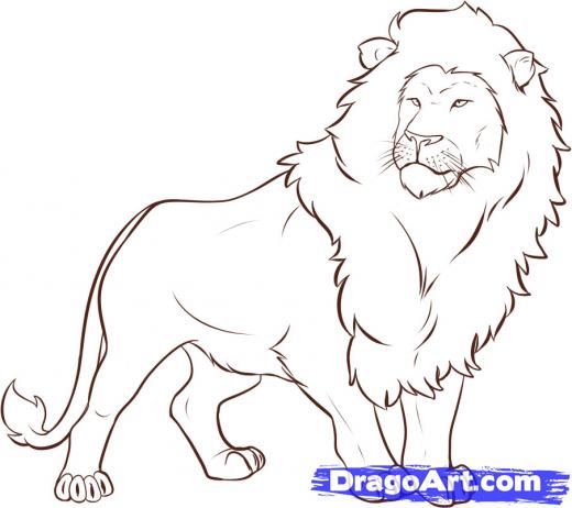 lion drawing easy