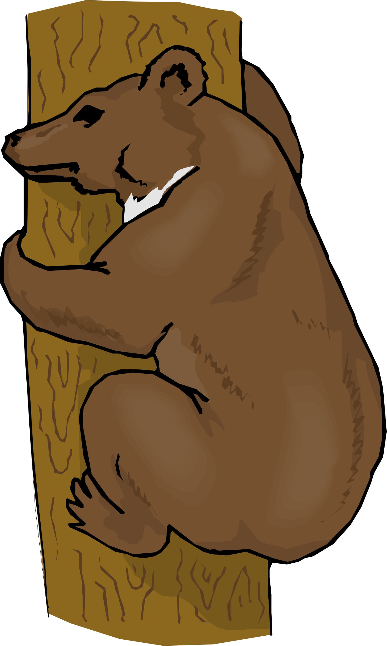 Cartoon Bear | Page 2