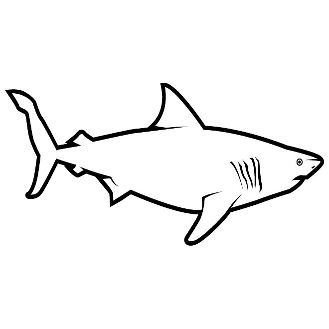 GREAT WHITE SHARK FREE VECTOR - Download at Vectorportal