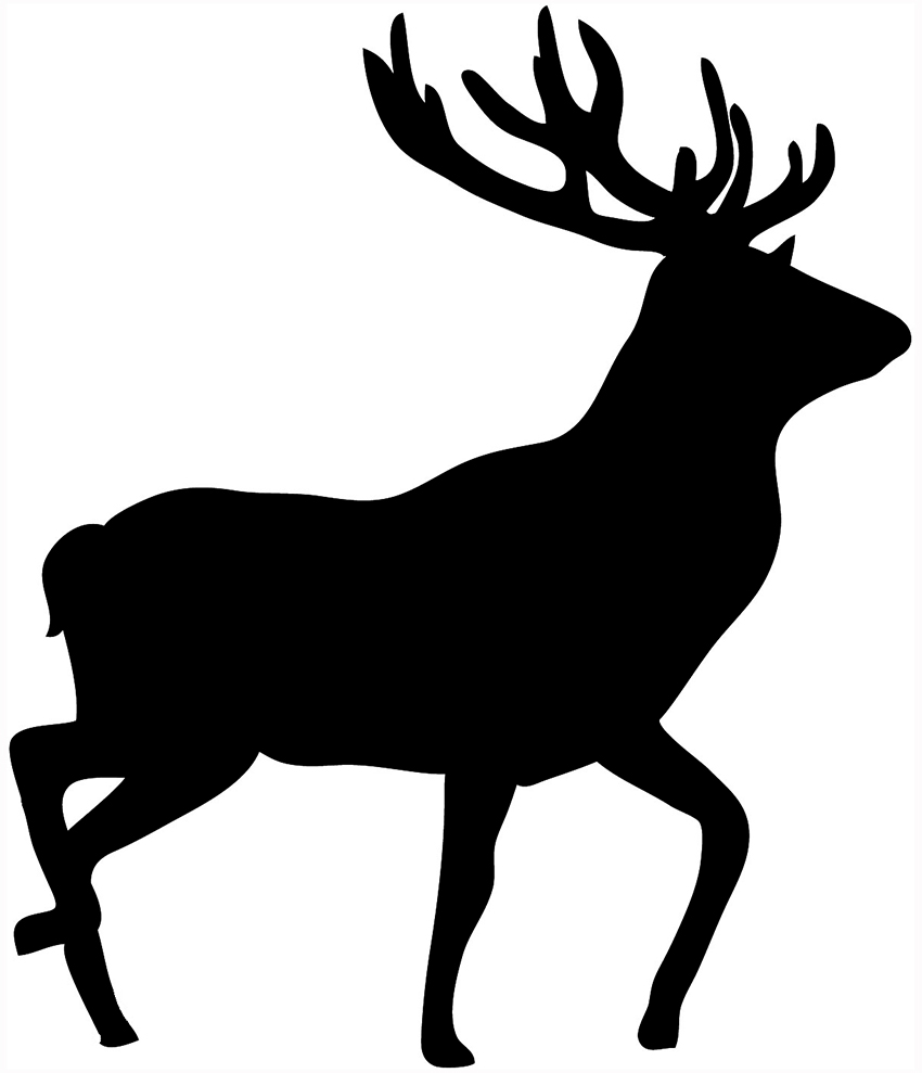 Images For  Bull Elk Clipart