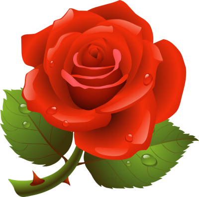 Fotor Rose Clip Art - Rose Clip Art Online for Free | Fotor Photo 