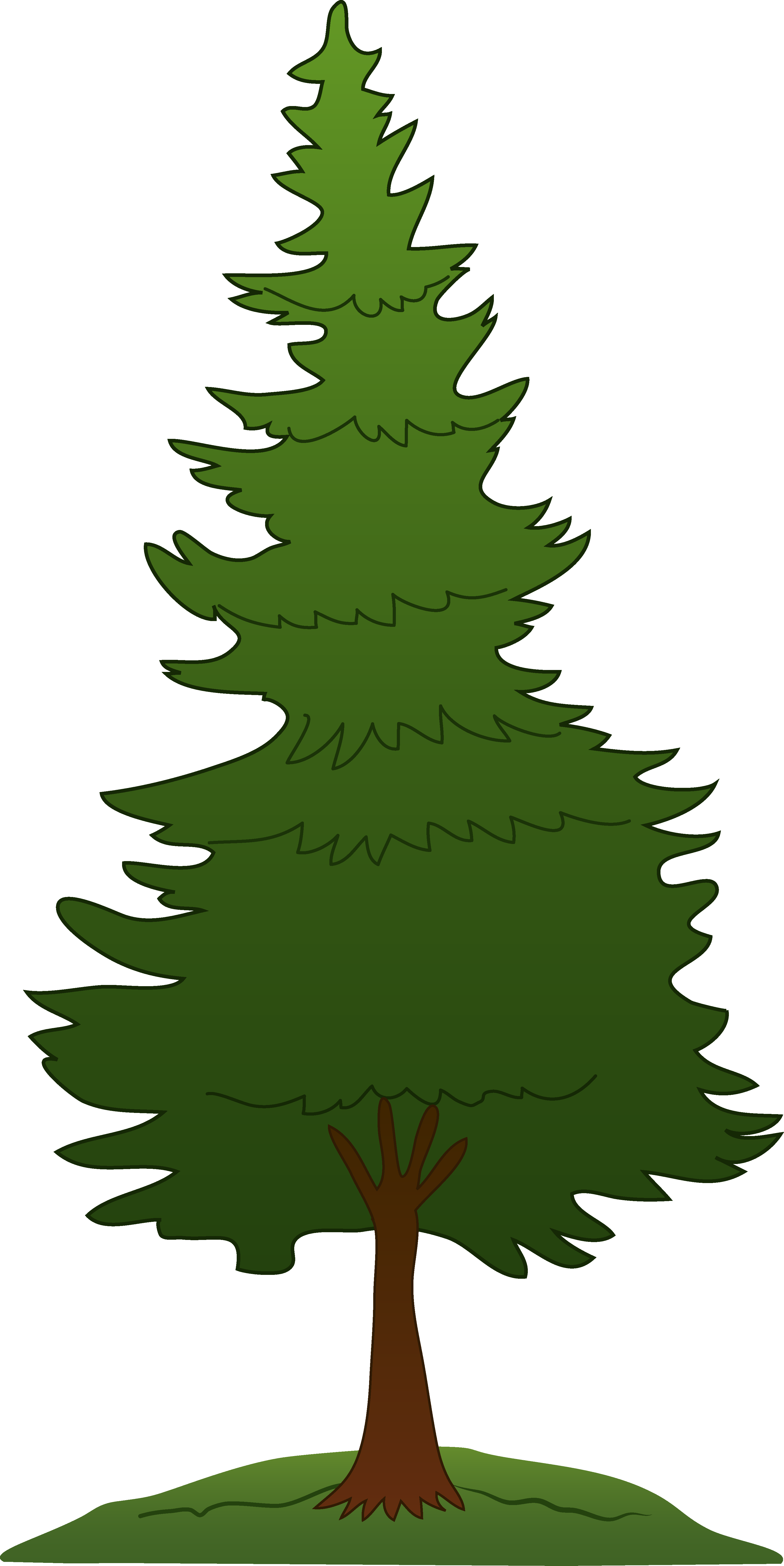 pine tree vector clipart images