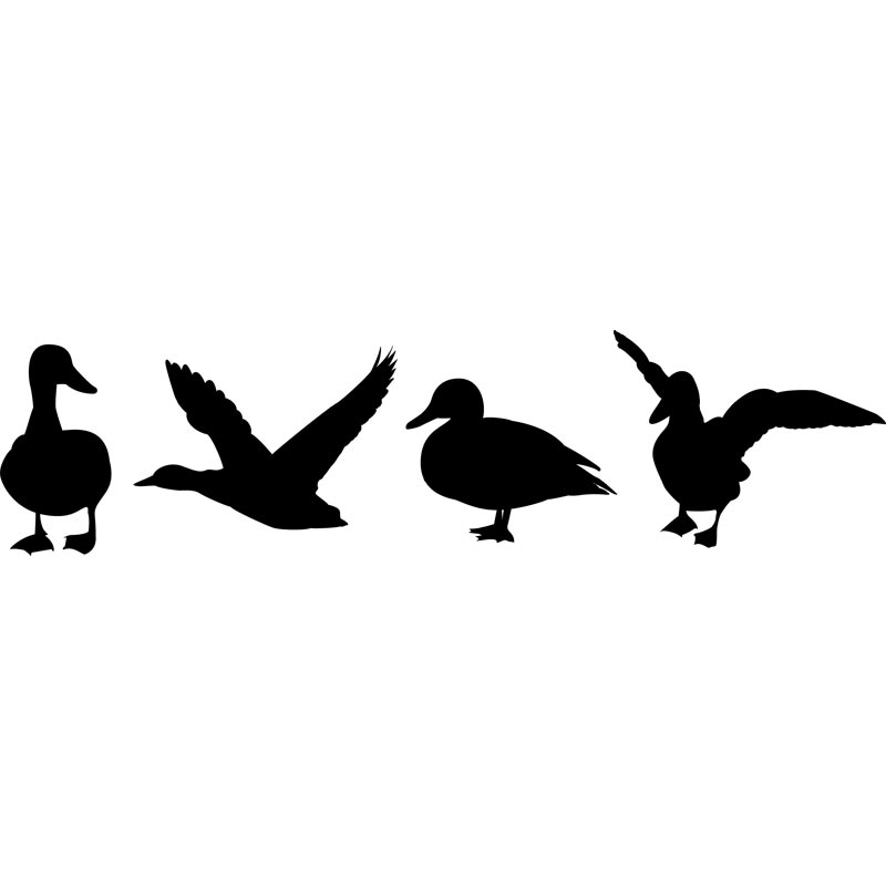 Flying Duck Clipart